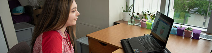 Woman sitting at a desk using a laptop, with potted plants on the desk near a window.