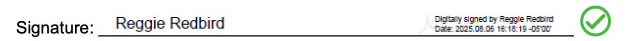 acceptable signatures example one