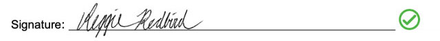 acceptable signatures example two